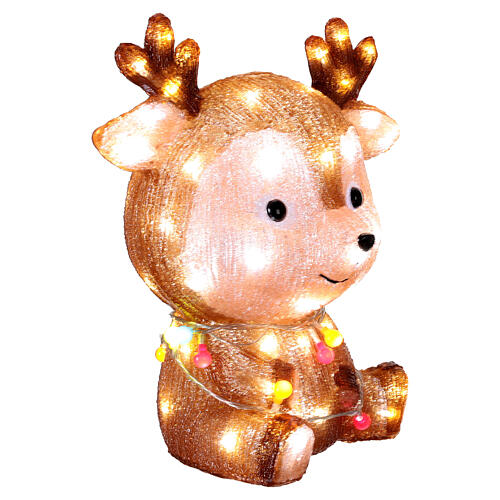 Renne acrylique LED blanc froid 40x32 cm 3