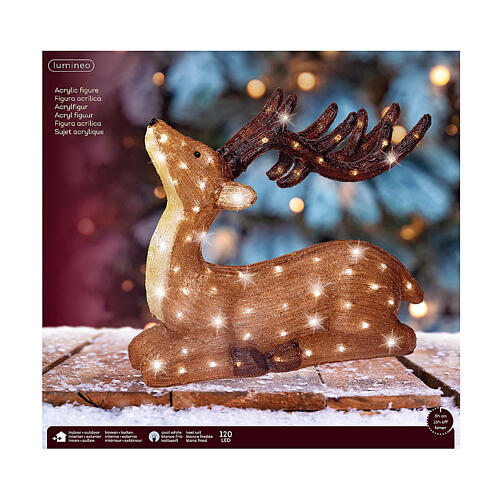 Rentier sitzend, Acrylfigur, 120 kaltweiße LEDs, 56 x 52 x 18 cm – für Innen- und Außenbereich 6