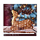 Renne assise LED acrylique lumière blanche froide 55x18 cm s6