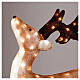 Renna seduta LED acrilico luce bianca fredda 55x18 cm s2