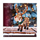 Rena com coroa de Natal em acrílico luz LED branca fria 60x45 cm s3