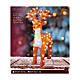 Renna luci natalizie LED in acrilico luce bianca fredda 70x50 cm s8