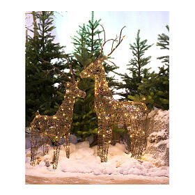 Wicker deer with fixed warm white LED lights, 50x24 in