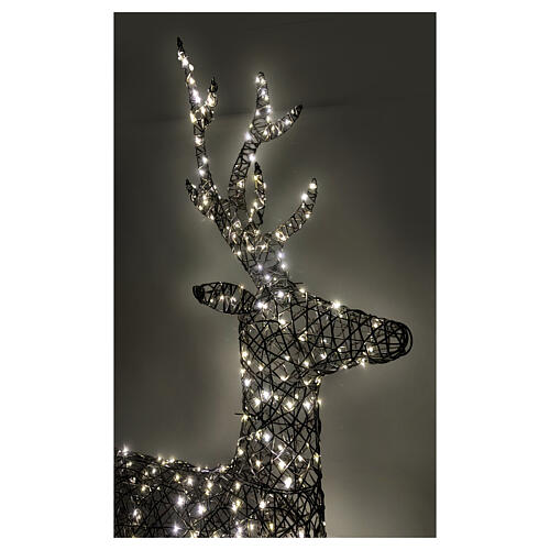 Wicker reindeer with fixed warm white LEDs, 63x34 in 2