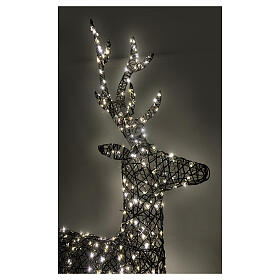 Wicker Deer Fixed LED Warm White Lights, 160x86 cm
