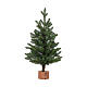 Mini-Weihnachtsbaum Greenhill für Innenräume, 45 cm s1
