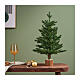 Mini sapin de Noël Greenhill pour intérieur 60 cm s2