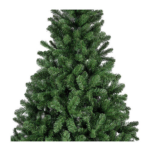 Albero di Natale pino imperiale 450 cm 4
