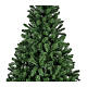 Albero di Natale pino imperiale 450 cm s4