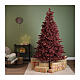 Albero di Natale abete borgogna 240 cm s2