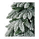 Albero di Natale pino innevato FSC 100% 200 cm s3