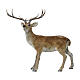Cerf statue de Noël 40x85x90 cm s1