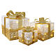 Ensemble 3 paquets cadeaux blancs dorés lumières LED blanc naturel s1