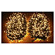 Chaîne 3000 MICROLEDs lumière chaude 60m int/ext s1