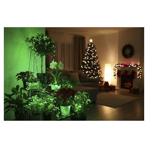 Lichterkette, 300 LED, grün, mit Lichtprogrammen, 15 m 3