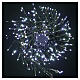 Cold White Christmas Lights 3000 MICROLEDs s1
