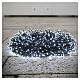Cold White Christmas Lights 3000 MICROLEDs s6