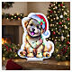 Infinity Lights Christmas puppy, 375 multicolour LEDs, 16x14 in, for indoor use s2