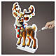 Multicolour Infinity Light reindeer, 576 LEDs, 37x22 in, indoor s1