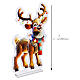 Multicolour Infinity Light reindeer, 576 LEDs, 37x22 in, indoor s3