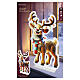 Infinity Light Reindeer 95x55 cm, Multicolor 576 LEDs for Indoors s2