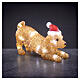 Cão luminoso com chapéu de Natal em acrílico transparente, branco frio, 30 LEDs, 20x30x12 cm, interior/exterior s1