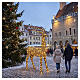 Illuminated wicker reindeer with warm gold flash effect, 560 LEDs, 105x15x55 in s2