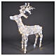 Standing Christmas illuminated reindeer in white wicker, 224 LEDs, 70x40x15 in, IN/OUTDOOR s1