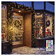 Stella luminosa natalizia int-est argento 224 micro LED multicolore 55 cm s2
