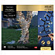 Luci natalizie cluster prolungabili  200 LED oro caldo 5 mt interno esterno s3