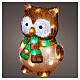 Acrylic illuminated owl, cool white, 40 LEDs, 12x10x8 in, indoor/outdoor s1