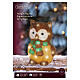 Gufo acrilico luminoso int-est 40 LED bianco freddo 30x25x20 cm s4