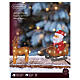 Santa Claus on his sleigh with reindeer, 50 cold white LED lights, acrylic, 12 in, IN/OUTDOOR s2