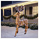 Acrylic Christmas reindeer, indoor/outdoor, 360 cold white LEDs, 50x40x33.5 in s2