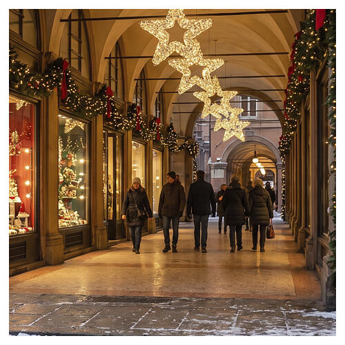Stella luminosa int-est argento 400 LED luce calda PET 60x10 cm 2