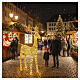 Three-dimensional gold PET luminous reindeer, indoor/outdoor, 2350 warm white LEDs, 80x38x14 in s2