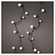 Cherry indoor/outdoor light chain with warm white LED globes, 60 ft s1