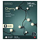 Cherry indoor/outdoor light chain with warm white LED globes, 60 ft s3