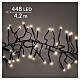 Luci natalizie int-est Cluster 448 LED soft gold effetto scintillante 420 cm s1