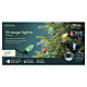 Guirlande lumineuse de Noël Vintage XL, int/ext, 50 LEDs or doux, 10 m, effet scintillant s3
