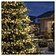 Micro luci natalizie int-est filo oro bianco caldo 480 LED 5 m effetto flashing s2