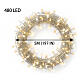 Micro luci natalizie int-est filo oro bianco caldo 480 LED 5 m effetto flashing s3
