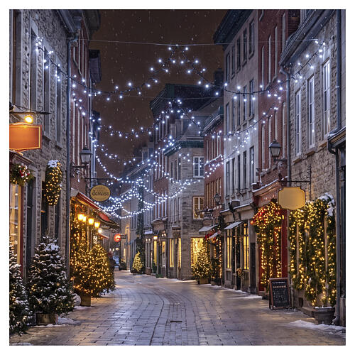 Guirlande lumineuse 3000 LEDs blanc 60 m effets lumineux câble foncé int/ext 2