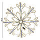 Bicolour snowflake, 27.6 in, with Snowfall effect, 564 LEDs s1