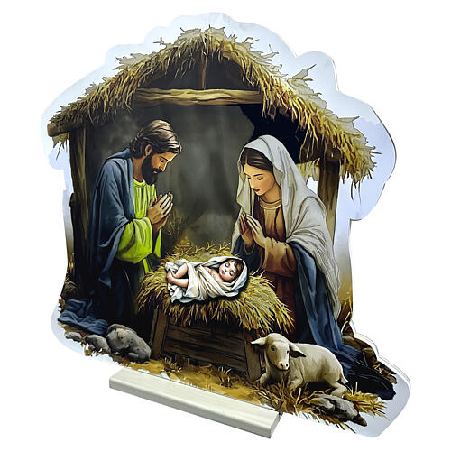 Decorazione luminosa Natività Infinity Lights 813 LED multicolor 65cm 5