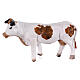 White spotted cow for Neapolitan Nativity Scene 8 cm s1