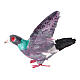 Terracotta pigeon with open wings for 12-14 cm Neapolitan Nativity Scene s1