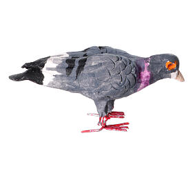 Pigeon penché en avant terre cuite crèche napolitaine 12-14 cm
