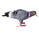 Pigeon penché en avant terre cuite crèche napolitaine 12-14 cm s1