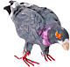 Pigeon penché en avant terre cuite crèche napolitaine 12-14 cm s2